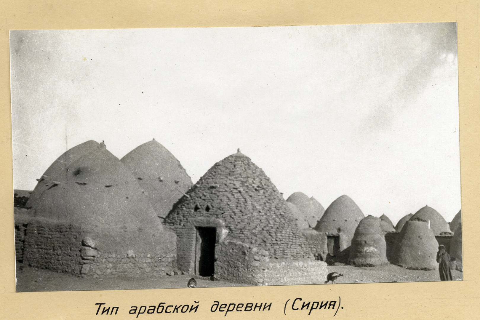 Фото арабской деревни из экспедиции Вавилова
