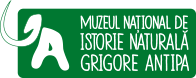 Национальный музей естественной истории имени Григоре Антипы